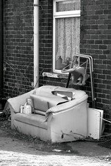 Housekeeping