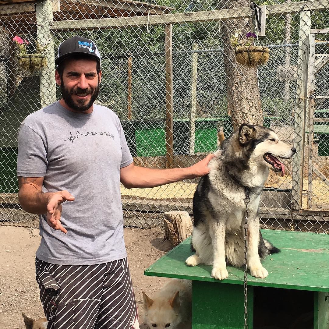 Gaia the Malamute