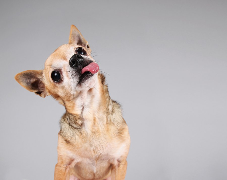 10 Reasons Your Outreach Sucks (and How to Fix it)